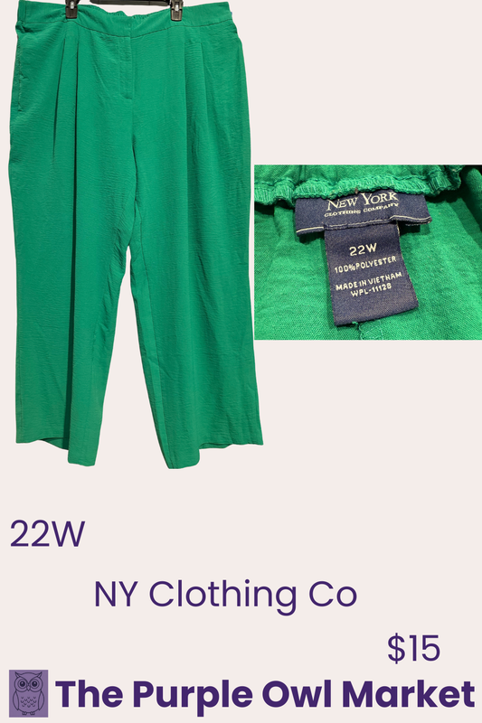 NY & Co pants